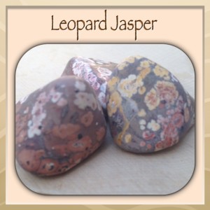 Leopard Jasper